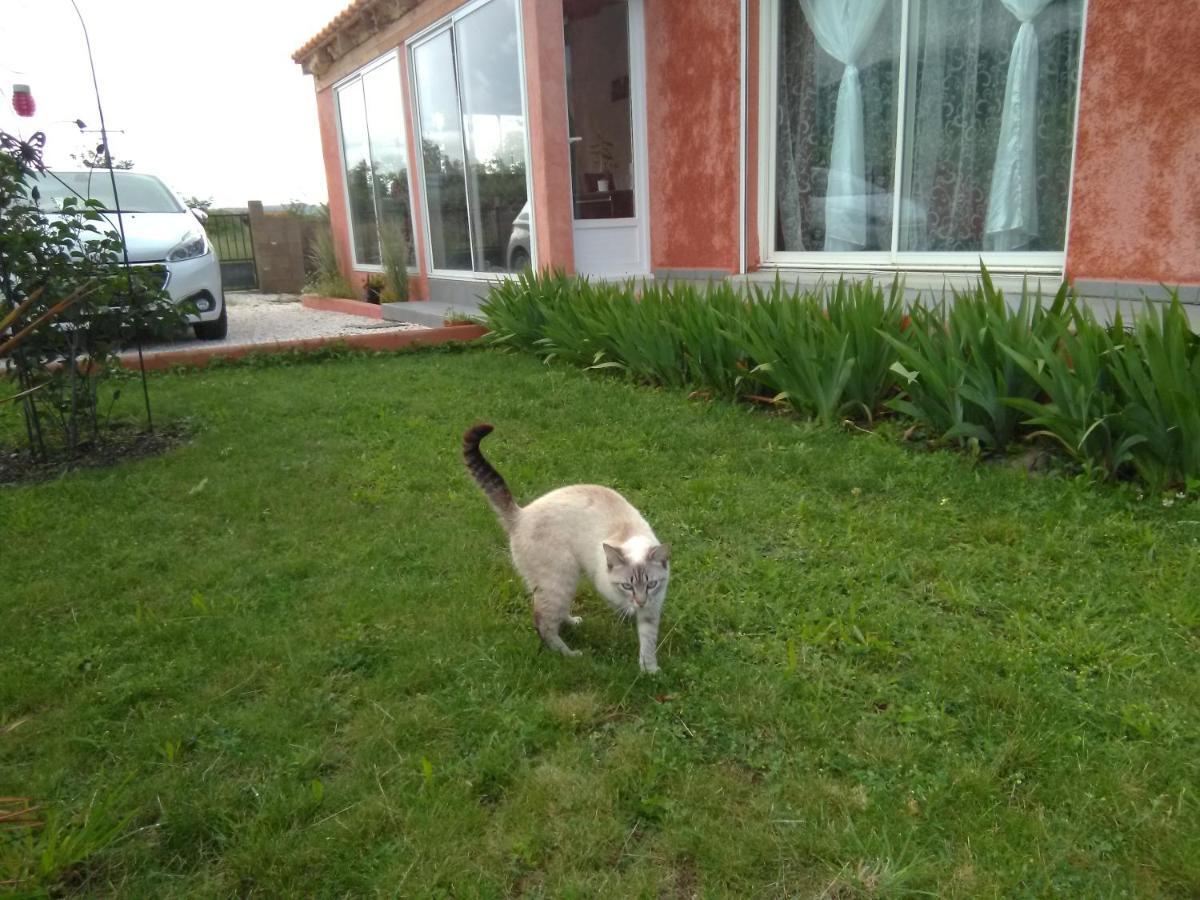 Bleu Du Sud Villa Rigarda Exteriör bild